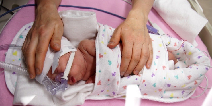 parent education and participation-740